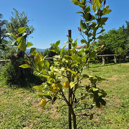 Casa Grilo Valenca
